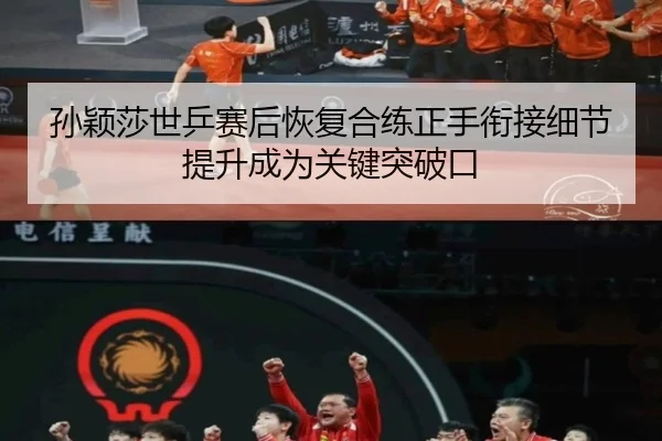 孙颖莎世乒赛后恢复合练正手衔接细节提升成为关键突破口
